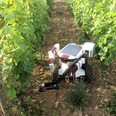 Le robot viticulteur Wall Ye.